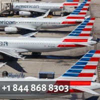  American Airlines Reservation Phone Number 1 844 8688303