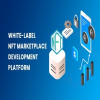 White Label NFT Marketplace Development